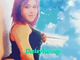 Daisy_hemp