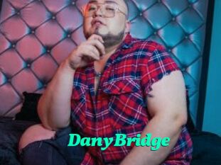 DanyBridge