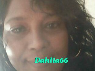 Dahlia66