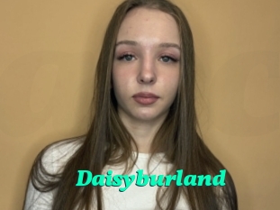 Daisyburland