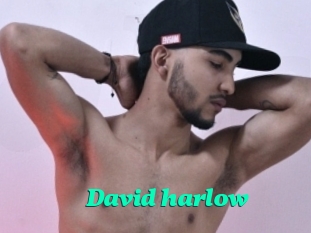 David_harlow