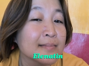 Elenatin