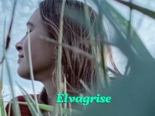 Elvagrise