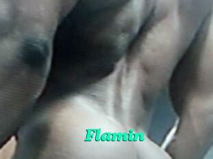 Flamin