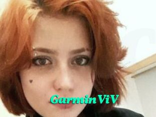 GarminViV