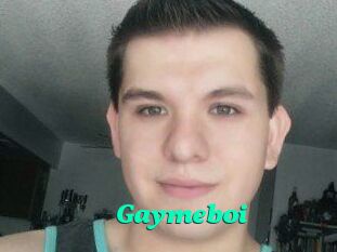 Gaymeboi