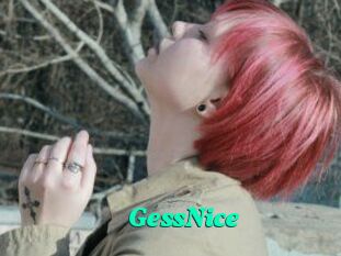 GessNice