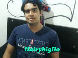 HairybigHo