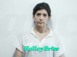 HalleyBriss