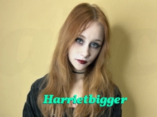 Harrietbigger