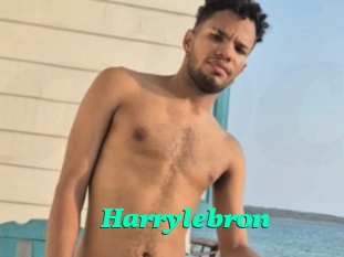 Harrylebron