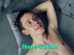 Harrywhites