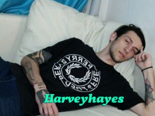 Harveyhayes