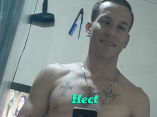 Hect