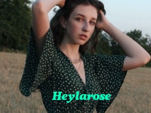 Heylarose