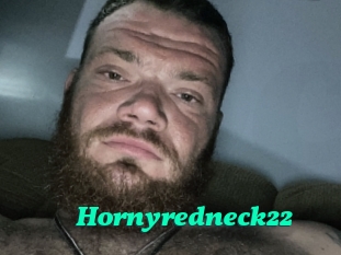 Hornyredneck22