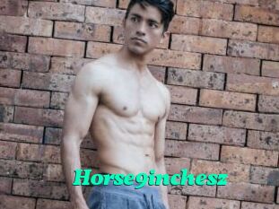 Horse9inchesz