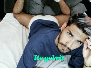 Its_gelviz