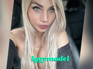 Iggymodel
