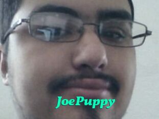 JoePuppy