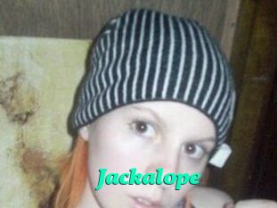 Jackalope