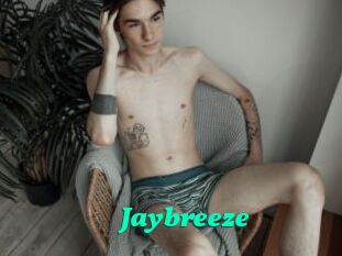 Jaybreeze