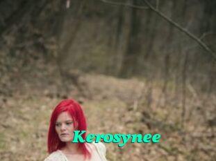 Kerosynee