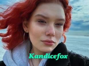Kandicefox