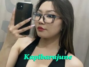 Kapibarajune