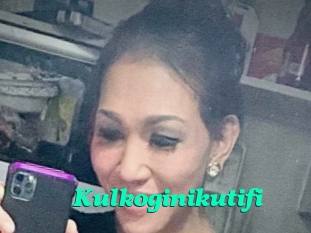 Kulkoginikutifi