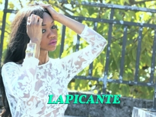 LAPICANTE