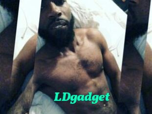 LDgadget