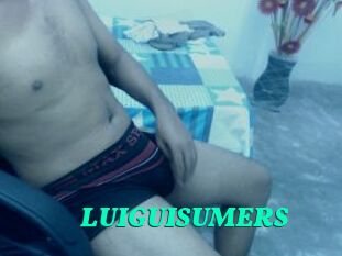 LUIGUISUMERS