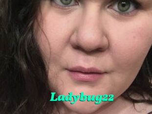 Ladybug22