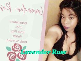 Lavender_Rose