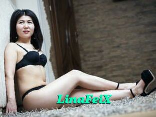 LinaFeiX
