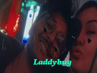 Laddybug