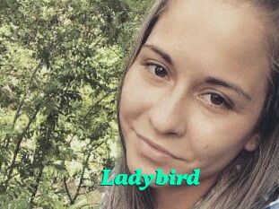 Ladybird