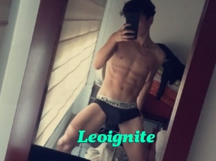 Leoignite