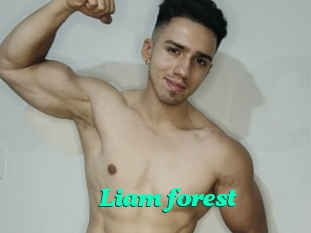 Liam_forest