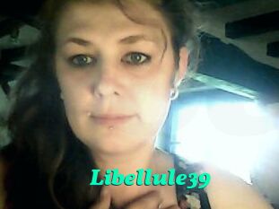 Libellule39