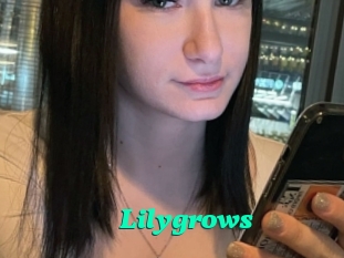 Lilygrows