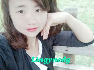 Lingynedg