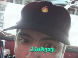 Link323