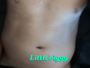 Littlebig99