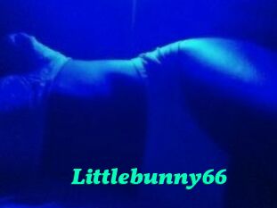 Littlebunny66