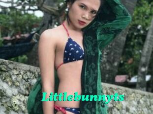 Littlebunnyts