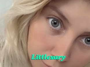Littlesary