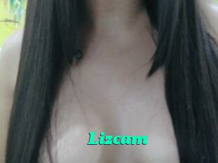 Lizcam