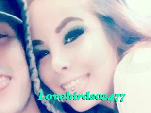 Lovebirds02477